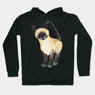 Saucy Siamese Kitten Hoodie